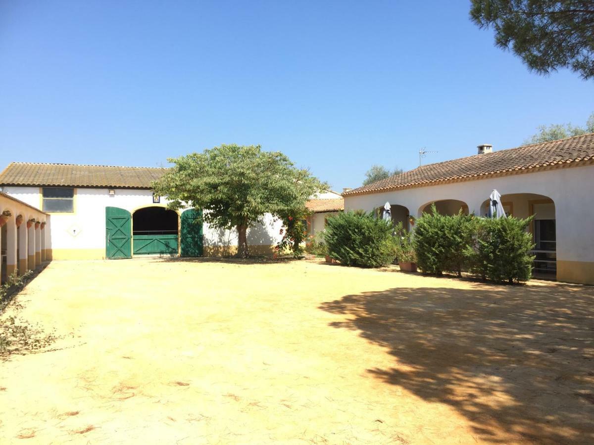 El Rocio 1 Gites Equestre Сент-Мари-де-ла-Мер Экстерьер фото