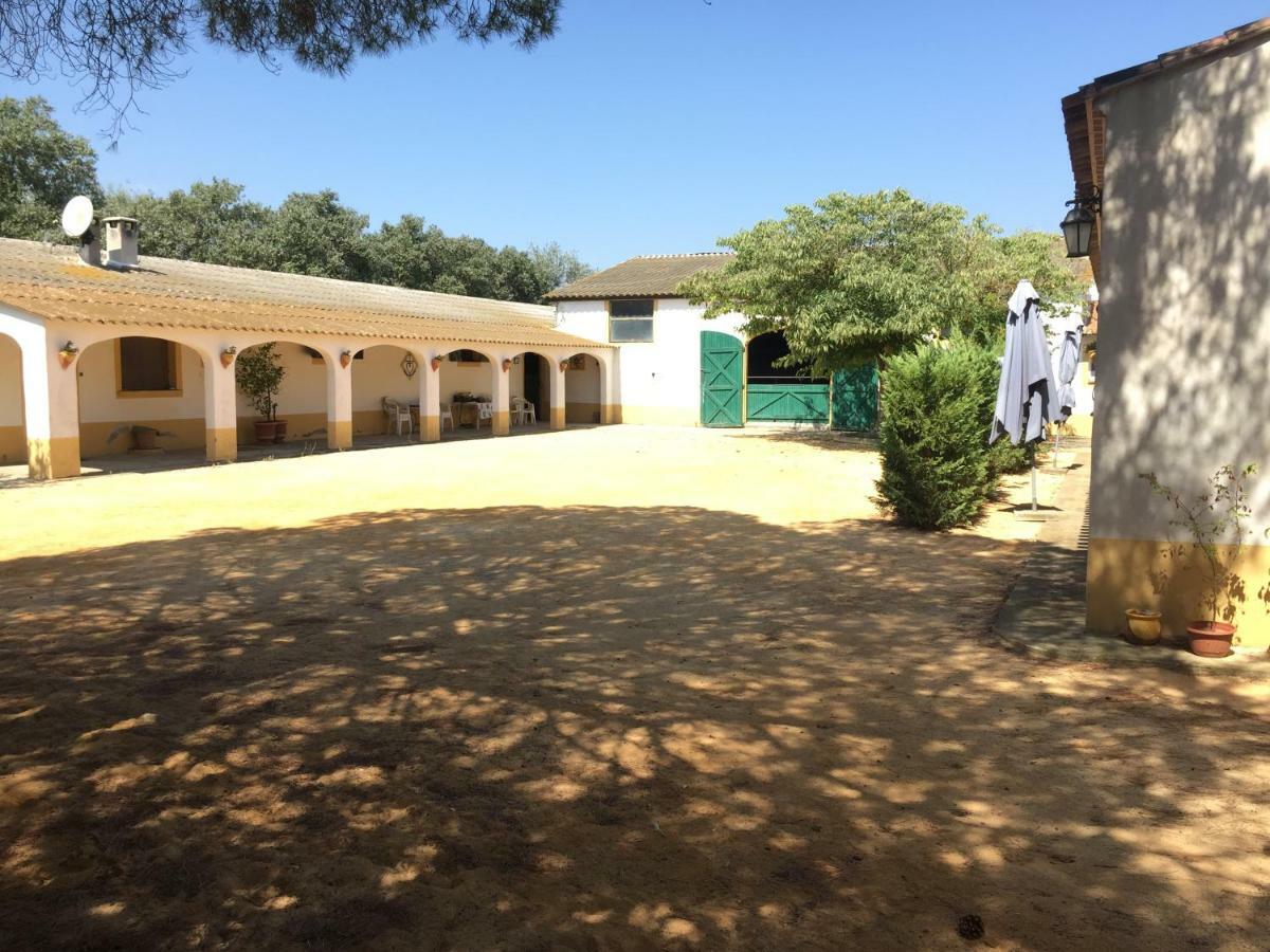 El Rocio 1 Gites Equestre Сент-Мари-де-ла-Мер Экстерьер фото