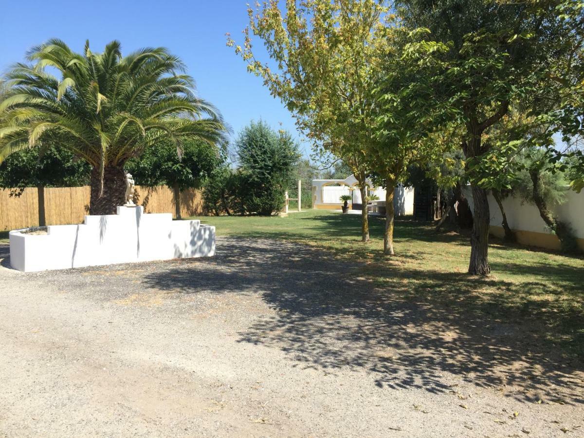 El Rocio 1 Gites Equestre Сент-Мари-де-ла-Мер Экстерьер фото